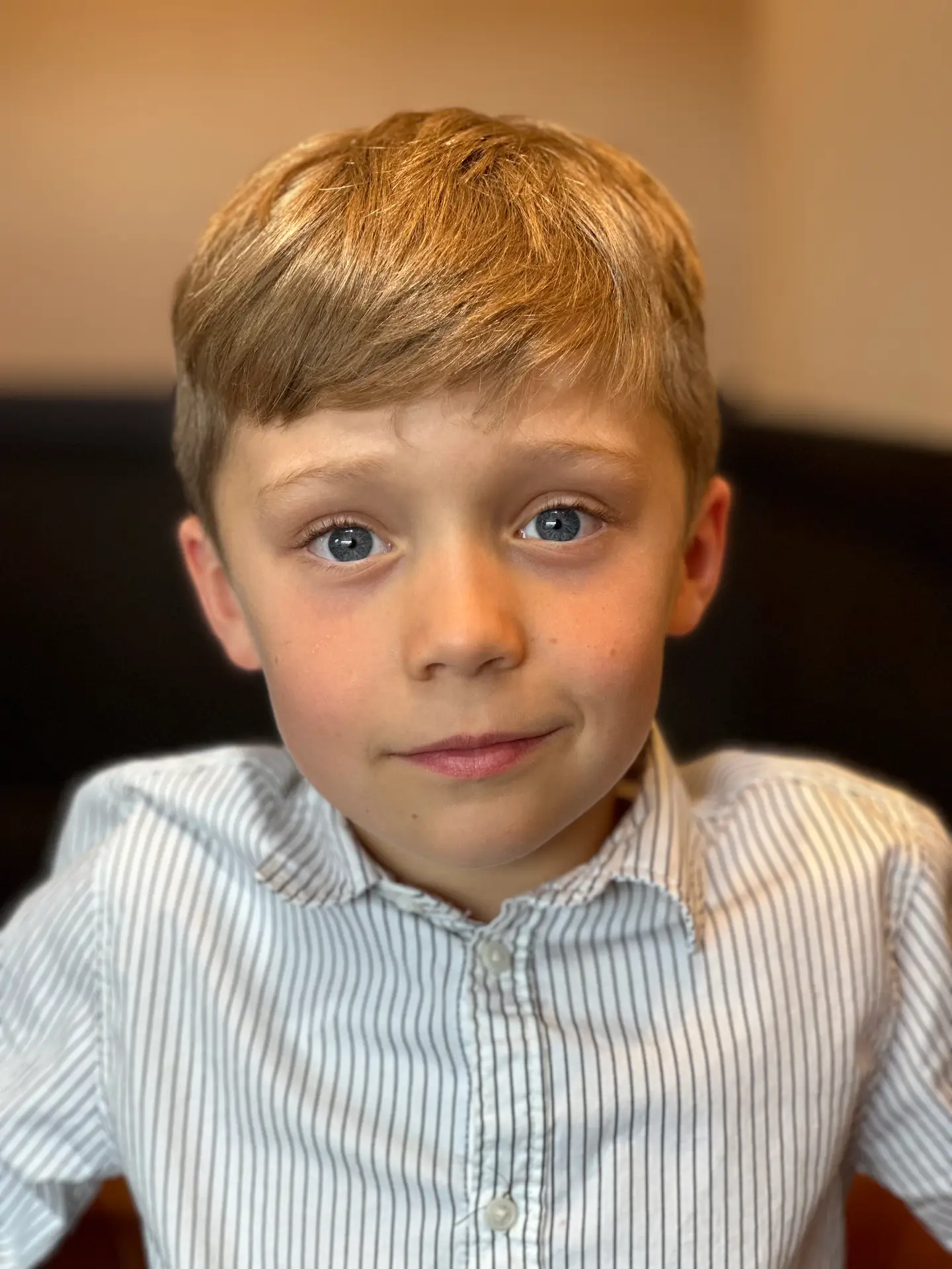 HenryRoss 2026